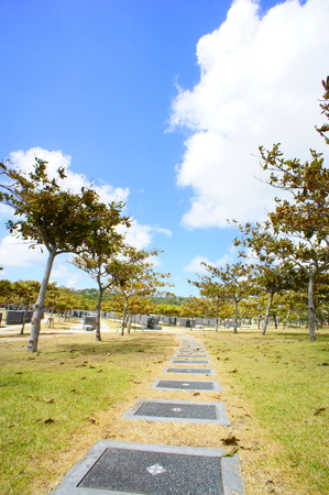 平和記念公園・平和の礎への道（縦）：No.0832