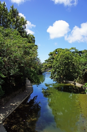 龍潭池(縦):No.0670 龍潭池(縦):No.0670