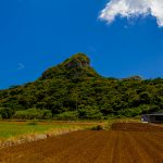 城山（伊江島タッチュー)と畑（横）：No.2404
